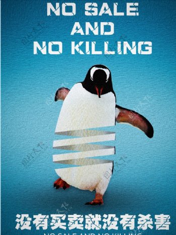 关爱动物海报