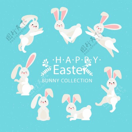 复活节卡通兔子系列