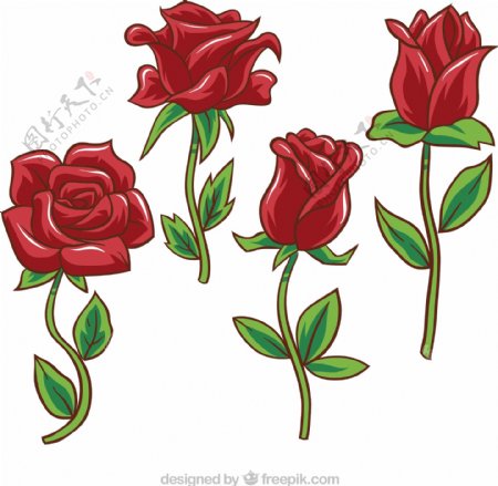 4款彩绘红玫瑰花枝矢量素材