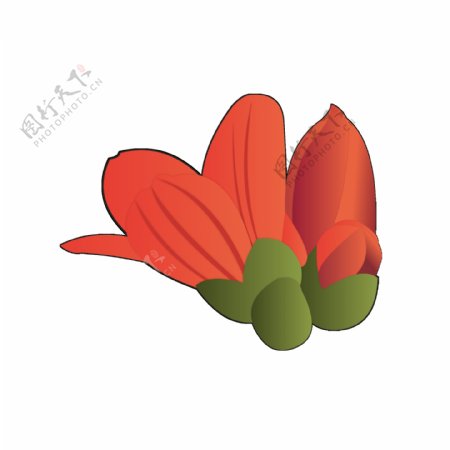 手繪木棉花元素之卡通紅色植物花