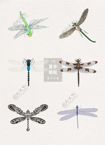 夏季蜻蜓装饰图设计素材