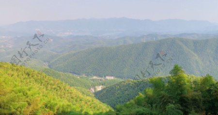 山上竹海风景图