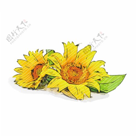 手绘花卉黄色向日葵植物水彩元素