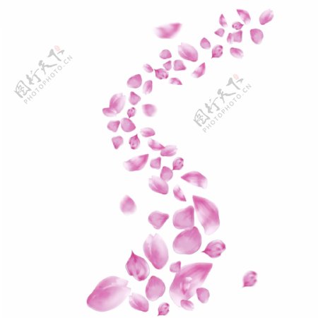 S型漂浮的粉色桃花花瓣飘浮的花瓣