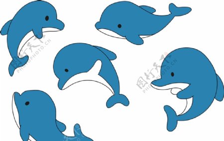 海豚群