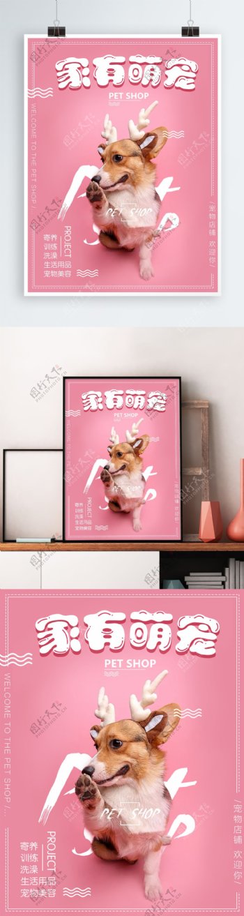 粉色家有萌宠宠物海报