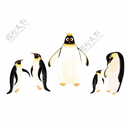 卡通一群企鹅冬季动物设计