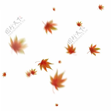 漂浮的枫叶秋天飘落的红枫叶手绘枫叶