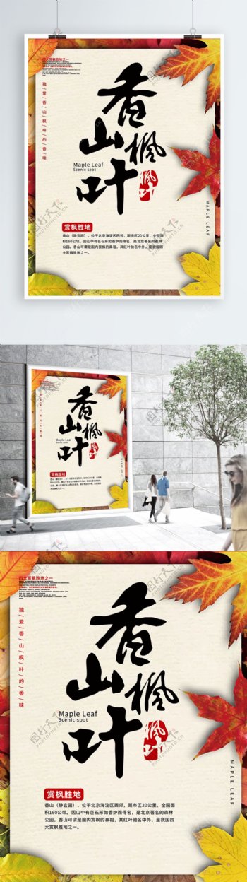 旅游香山枫叶海报