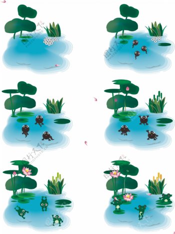 手绘风卡通植物荷花动物青蛙生长过程元素