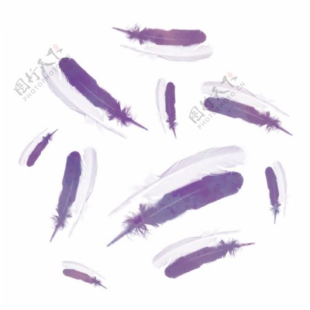 紫色梦幻渐变羽毛漂浮设计元素背景底纹