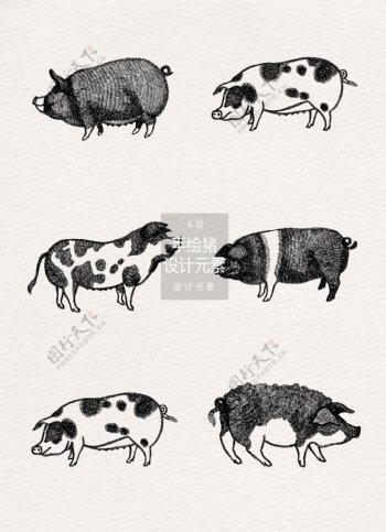 手绘猪插画设计元素