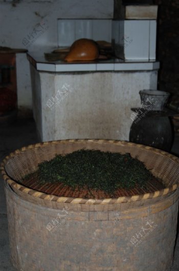 徽州黄山野茶烘干茶叶