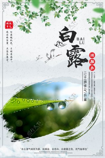2018中国风简洁白露节气创意海报