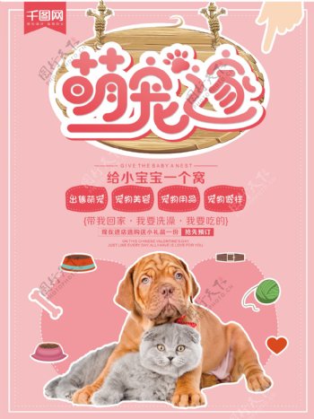 简约清新宠物之家萌宠宠物店海报