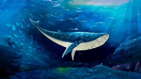 治愈系深海鲸鱼梦幻插画