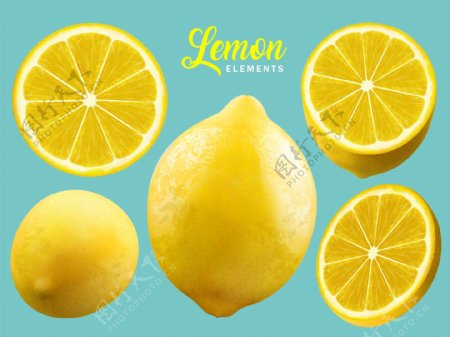写实水果柠檬插画