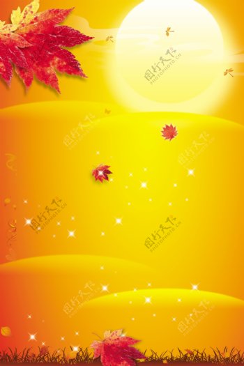黄色秋季枫叶背景