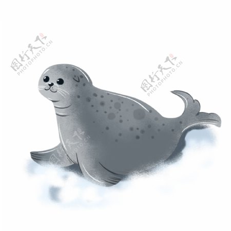 国际海豹节手绘卡通海豹