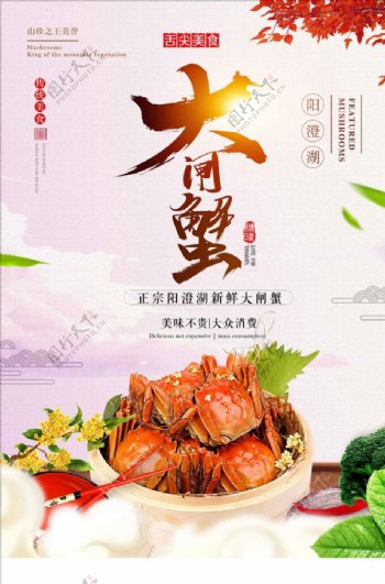 中国风大闸蟹促销海报