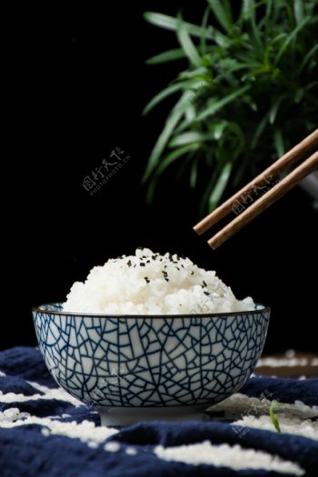 香喷喷的白米饭