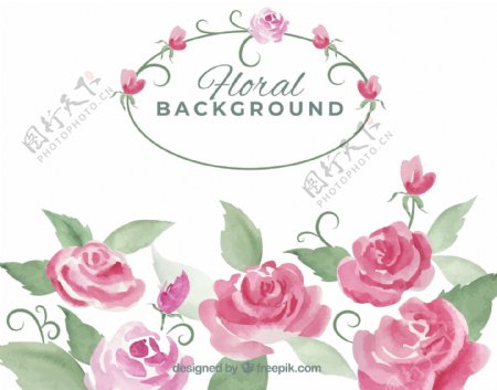 水彩绘粉色玫瑰花设计矢量图