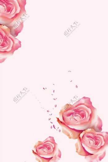 粉色手绘玫瑰小清新背景
