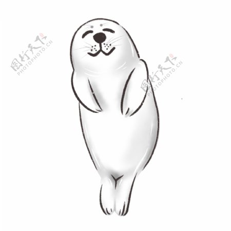 国际海豹节小海豹卡通形象元素手绘