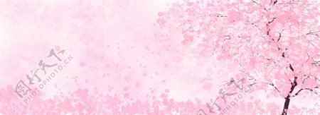 唯美三八女神节粉色樱花树浪漫樱花背景