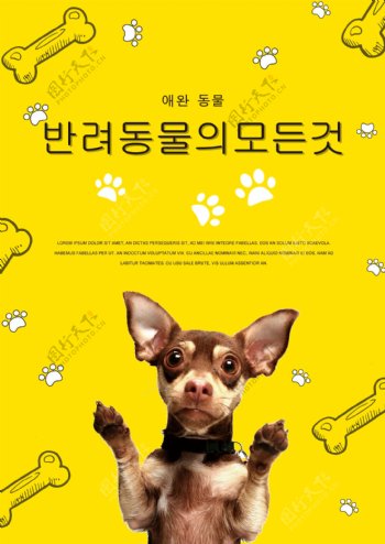 黄色创意宠物店海报