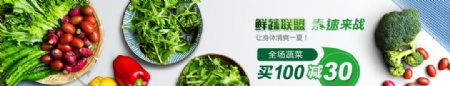 新鲜蔬菜促销Banner