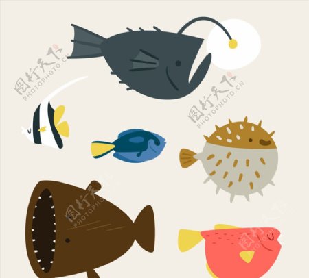 6款可爱海洋鱼类
