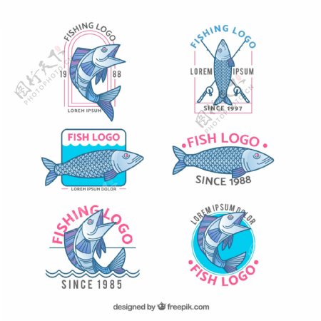 6款手绘鱼类标志