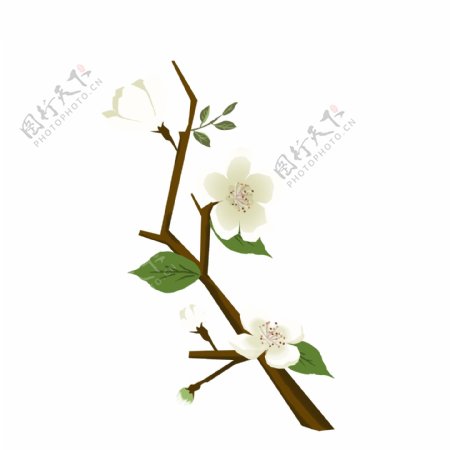 春天元素梨花白色花朵花枝花卉手绘简约风4
