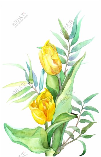 手绘黄色的玫瑰水彩花卉
