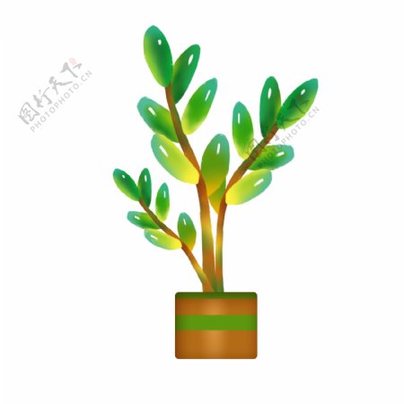 装饰绿色植物插画