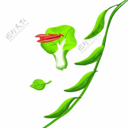 白菜植物卡通插画