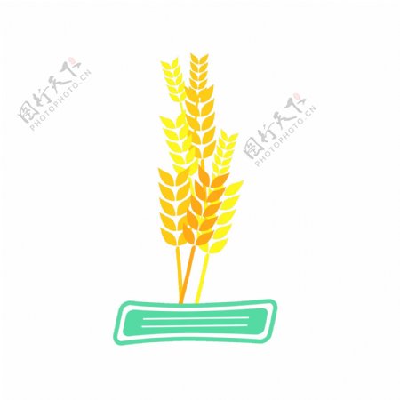 金黄色小麦矢量麦穗