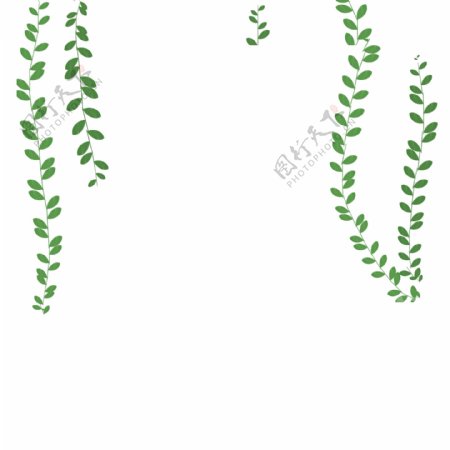 卡通植物枝条绿叶下载