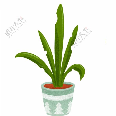 绿色盆栽植物图案