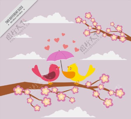 创意花枝上打伞的情侣小鸟