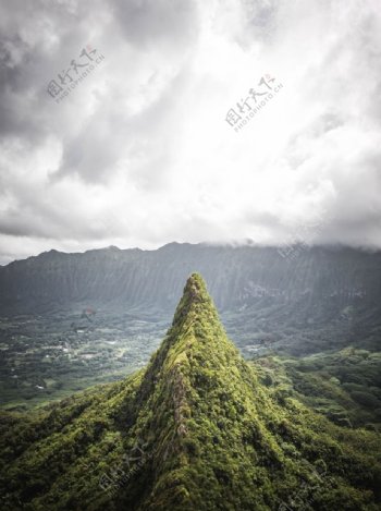 雨林