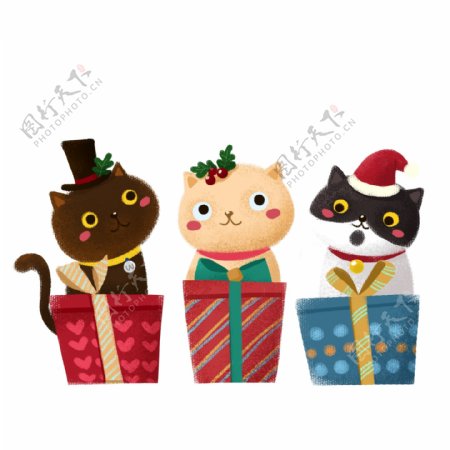 圣诞节猫咪和礼物盒PNG素材