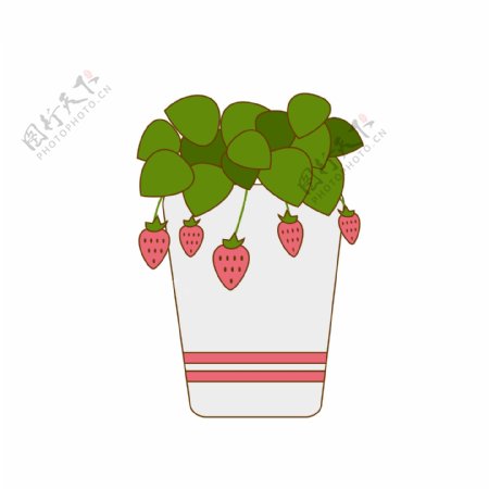 植物盆栽草莓手绘卡通扁平