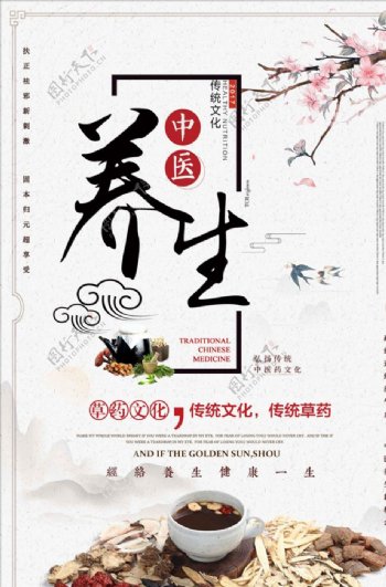 传统文化中国风中医养生宣传海报