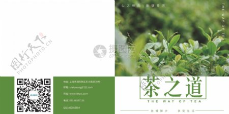 绿色现代茶之道茶叶画册封面