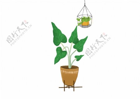 2019年清新绿色室内装饰植物插画