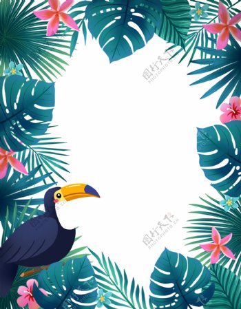 大嘴鸟和热带植物边框