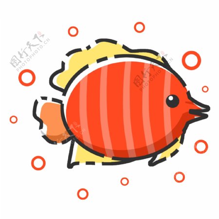 红色尖嘴鱼类