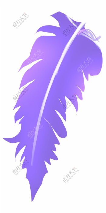 紫色弯曲羽毛设计